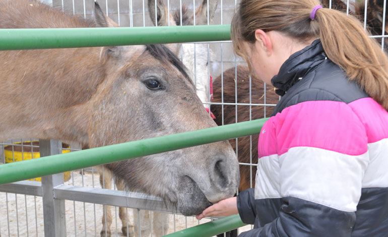 niños regando el huerto